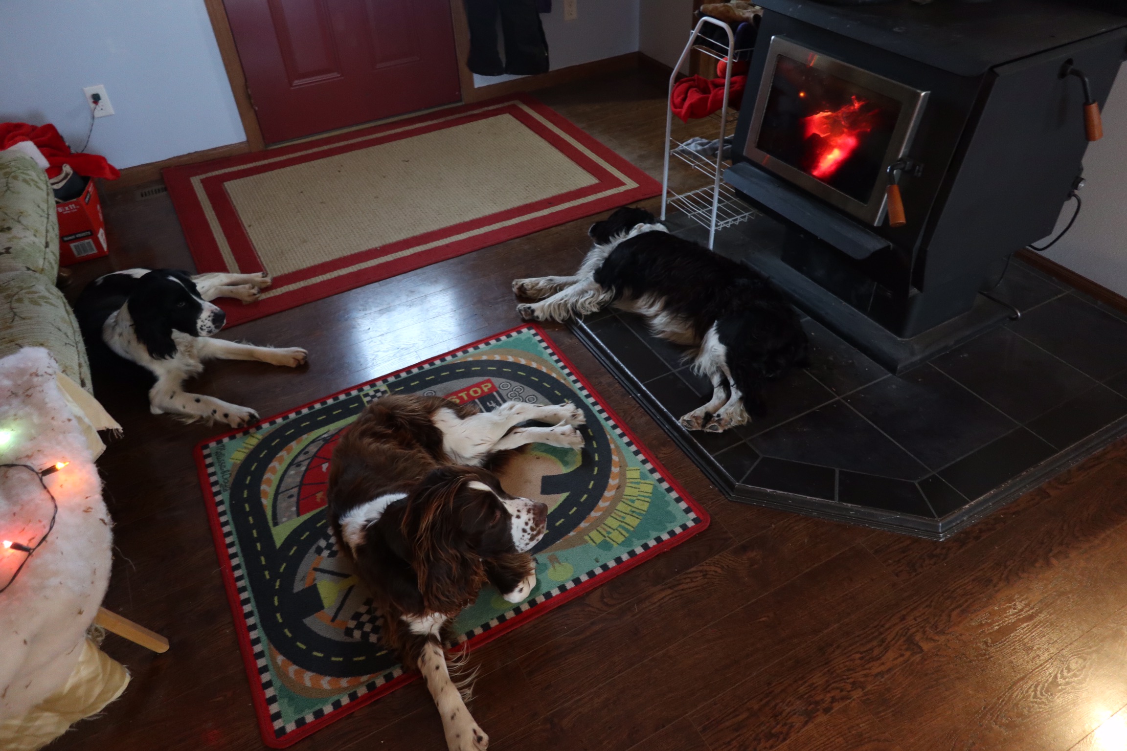 Dogs Napping by the Fire